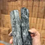 פחם בינצ׳וטאן יפני אמיתי בייבוא בלעדי - קרניבורים אורגינל