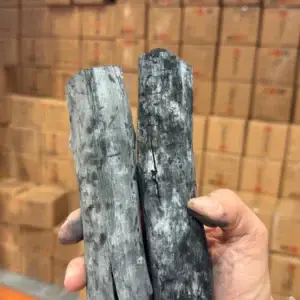 פחם בינצ׳וטאן יפני אמיתי בייבוא בלעדי - קרניבורים אורגינל