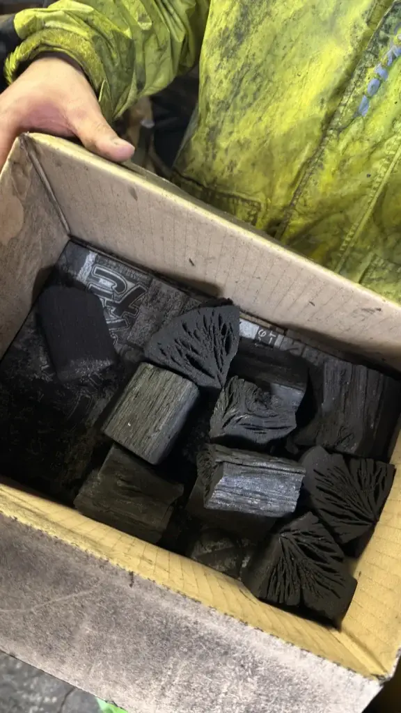 ארגז דוגמאות של בינצ'וטאן מטוסה שהראו לדניאל בקישו, חתך הרוחב מראה את דוגמת הקרניים