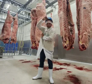 דניאל מפעל בשר וואגיו