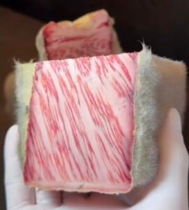 תפטיר אצילי