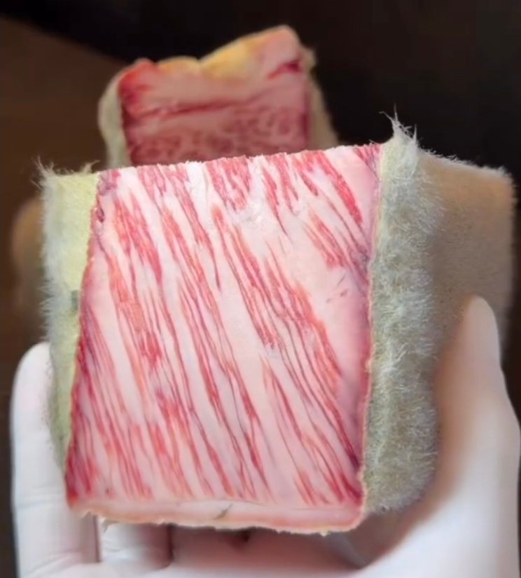 תפטיר אצילי